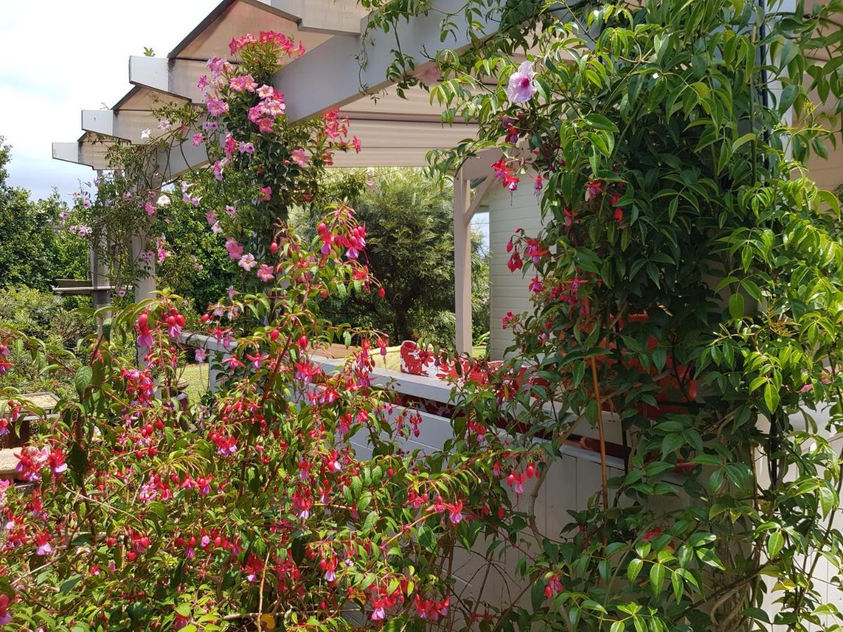 Sundowner Cottage Sanctuary Point Bagian luar foto